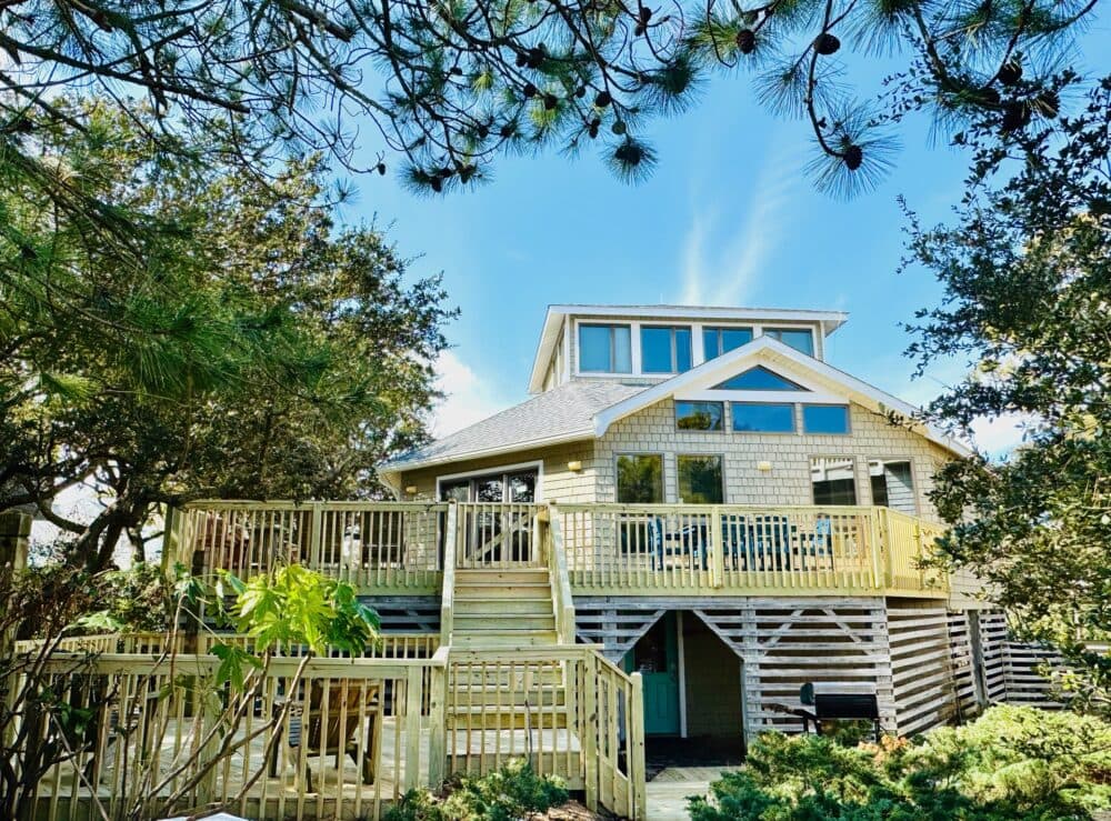 Sandpiper highlight 1